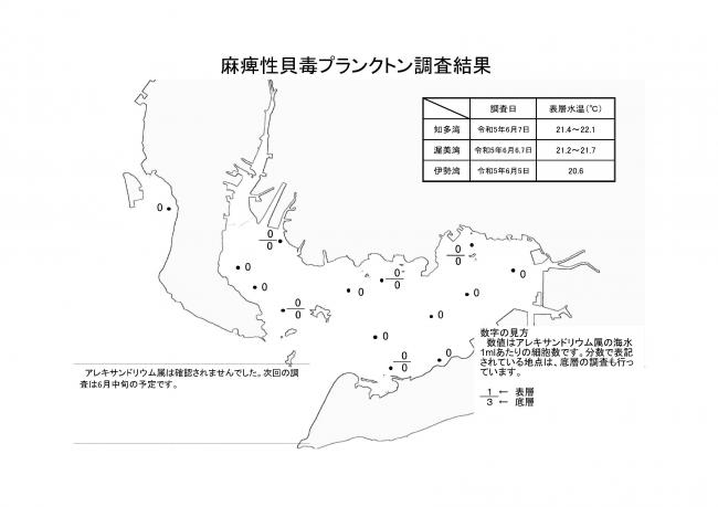 麻痺性貝毒プランクトン調査結果20230605