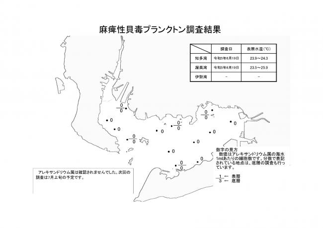 麻痺性貝毒プランクトン調査結果20230619