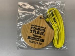 第7回奥三河トレイル　完走賞　木材メダル