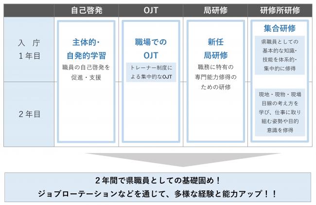 新規採用職員育成のイメージ図。2年間で県職員としての基礎固め。