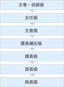 主事・技師級→主任級→主査級→課長補佐級→課長級→部長級→局長級