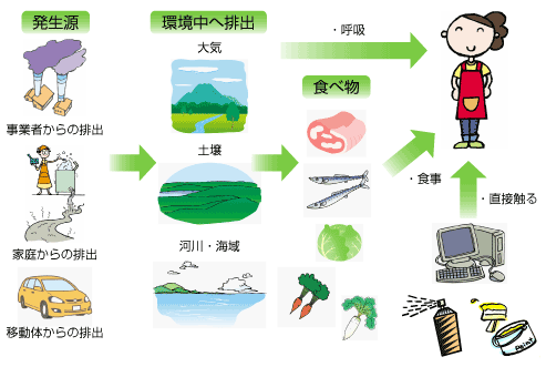 発生源から人への経路