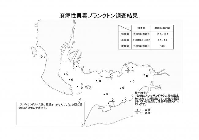 麻痺性貝毒プランクトン調査結果20240213