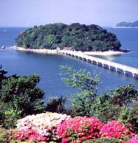 竹島（蒲郡市提供）