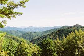 駒ヶ原林道からの眺望