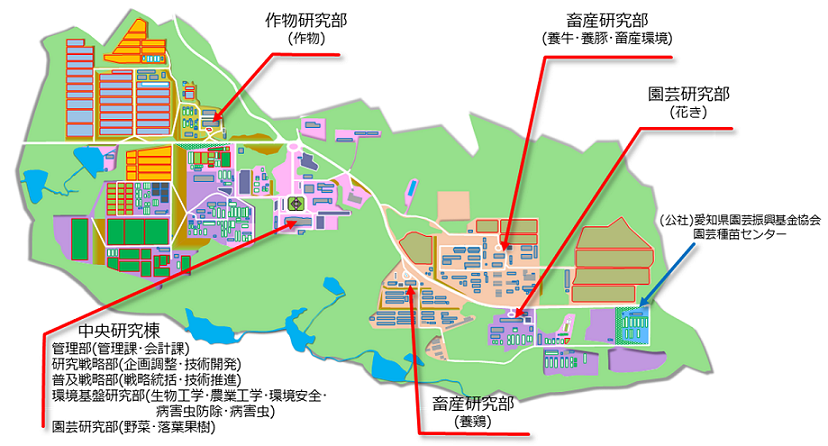 本場内の配置図