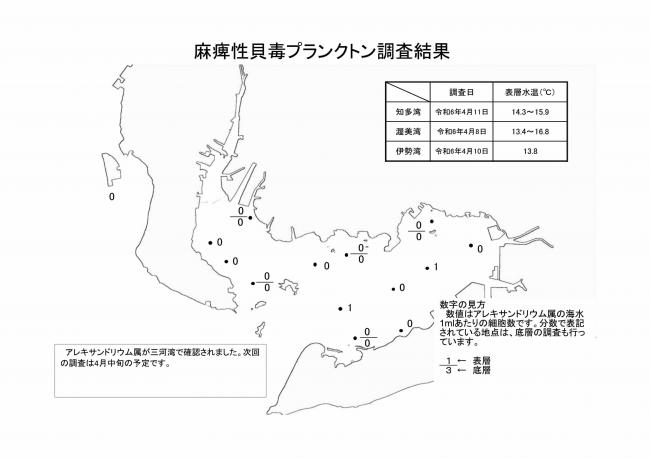 麻痺性貝毒プランクトン調査結果20240408