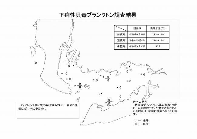 麻痺性貝毒プランクトン調査結果20240408