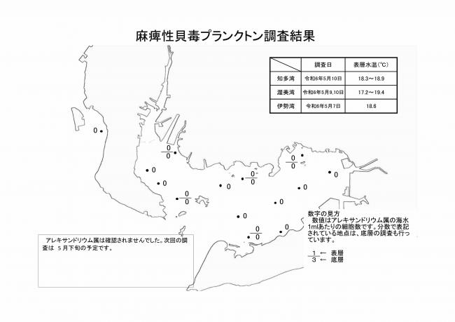 麻痺性貝毒プランクトン調査結果20240507
