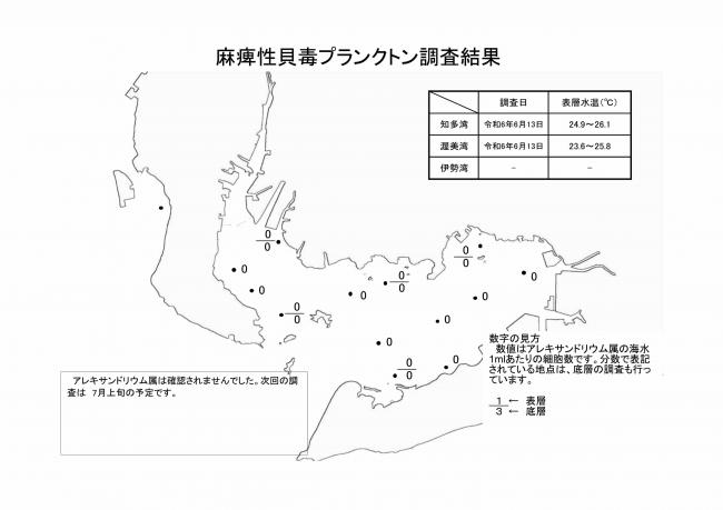麻痺性貝毒プランクトン調査結果20240613