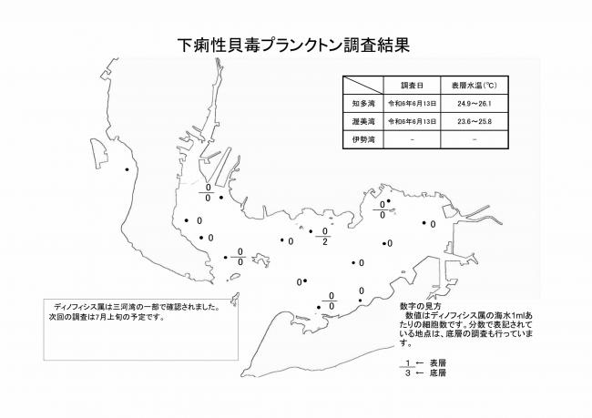 麻痺性貝毒プランクトン調査結果20240613