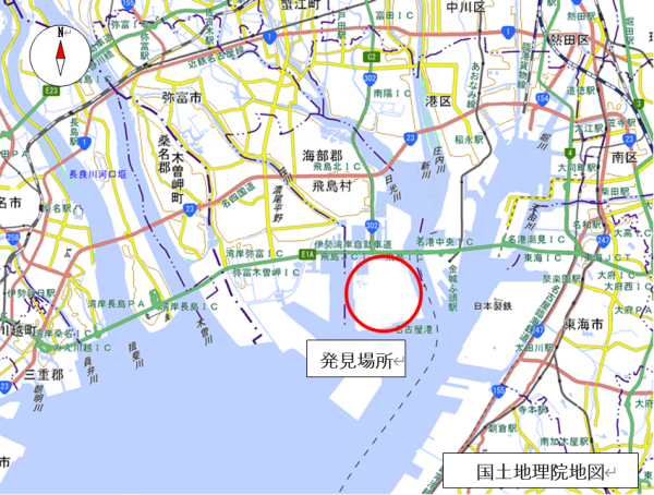ヒアリが確認された場所
