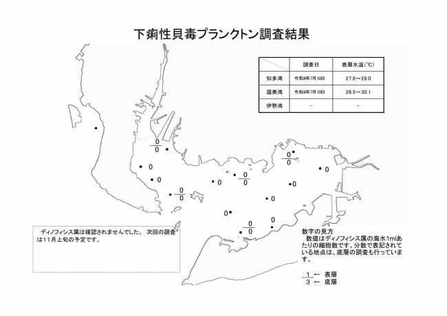 麻痺性貝毒プランクトン調査結果20240710