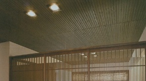リブ天井Lite(ライト) 使用例