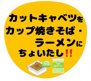 カットキャベツ