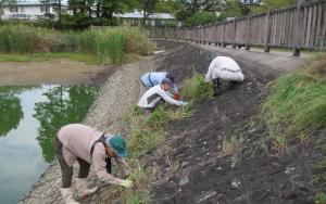 ため池清掃