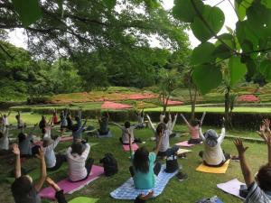 森林公園でのヨガ
