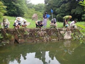 水辺の生き物