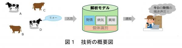 技術の概要図