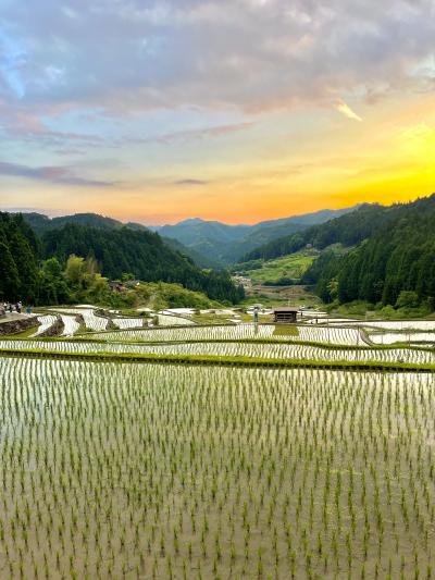 夕焼けの四谷の千枚田