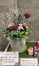 0430あいちの花