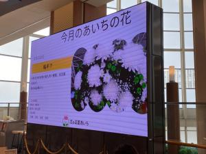 サポート企業の活動紹介