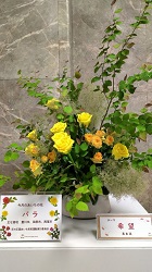 6.3 花