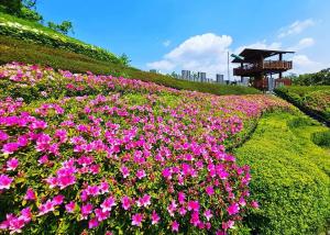 展望つつじ園
