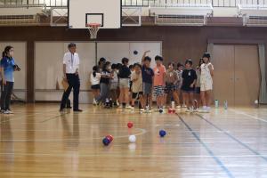 赤いバラの写真です。