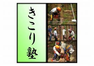 岡崎市画像(2)