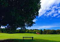 森林公園四季の風景写真入賞作品