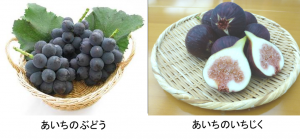 あいちのぶどう　あいちのいちじく