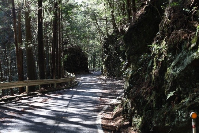 山を切って道を通した箇所の様子