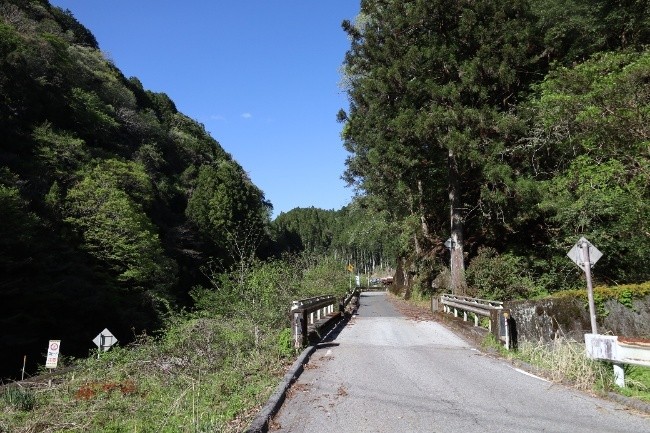 豊川沿いの急峻な谷に道が伸びている様子
