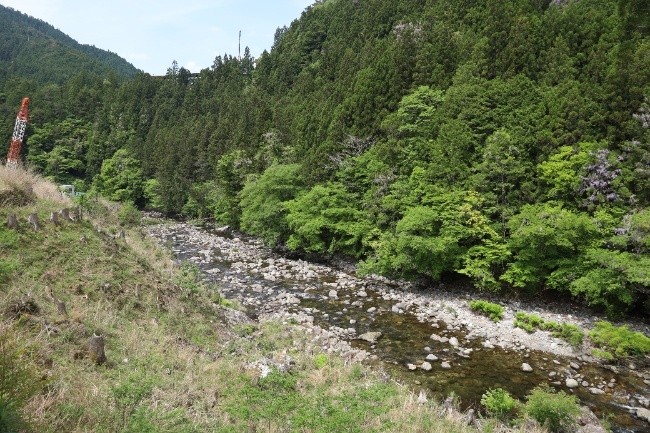 この付近の豊川の流れ