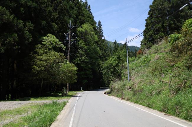 緑が多い山の中を道が伸びる様子