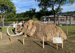 ダンボールマンモス