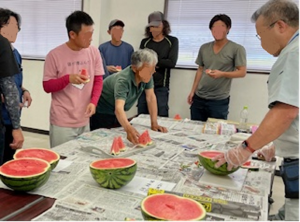 切り分けられたスイカを吟味する生産者
