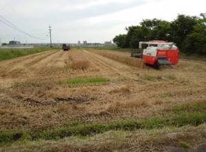 収穫が終わった麦畑とコンバイン