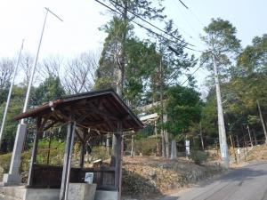 R6里山林整備事業(日進市)施工後
