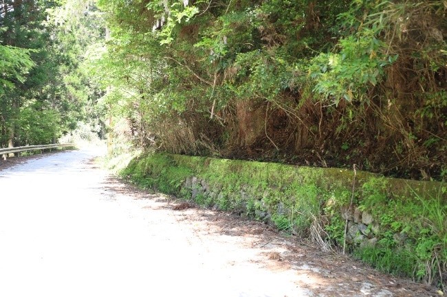 道沿いに残る石積みの導水路跡