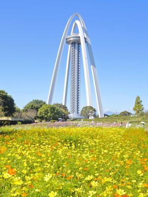 一宮市画像①