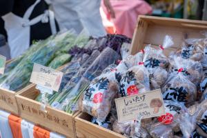 農福連携商品(からしな、しいたけ)