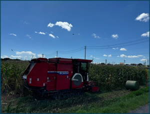 畑の飼料用トウモロコシが作業機によって収穫されWCS（ホールクロップサイレージ）へ形成される様子