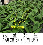 局所冷房技術の概要図2