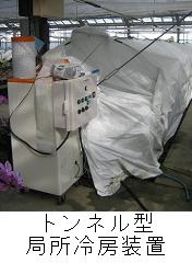 コチョウランの局所冷房の例
