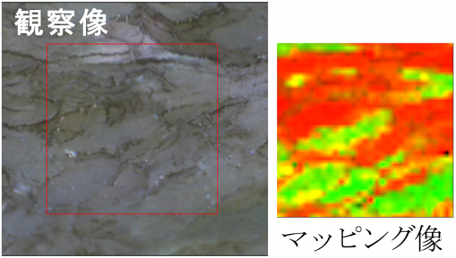 ラマン分光法