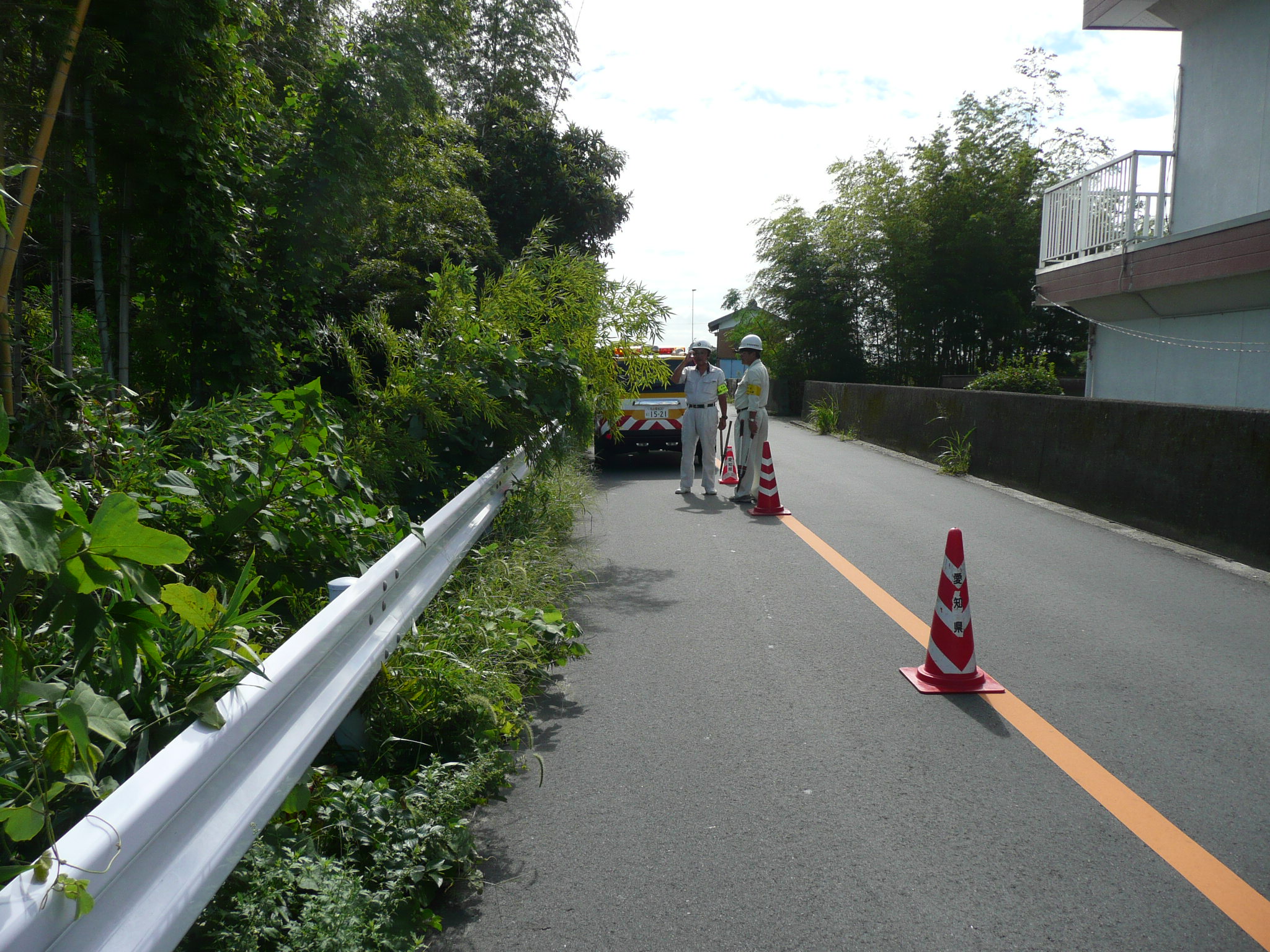 道路を巡回パトロール中に竹や草がじゃまになる箇所発見