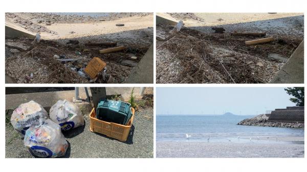 ごみ拾いの様子