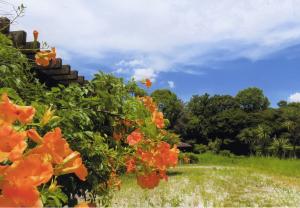 森林公園夏の花とともに